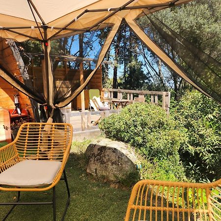 Coin Exotique Villa Casaeva Porto-Vecchio  Bagian luar foto