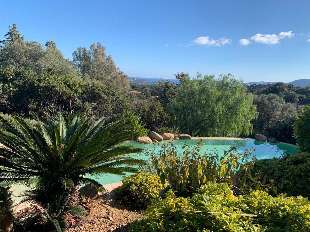Coin Exotique Villa Casaeva Porto-Vecchio  Bagian luar foto